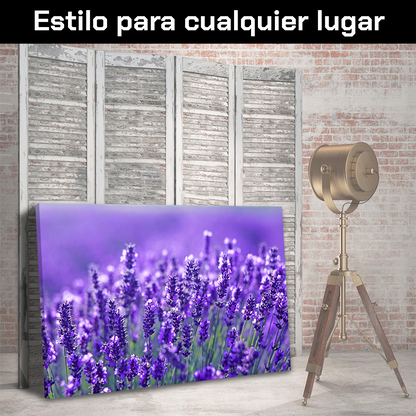 Lavandas Silvestres