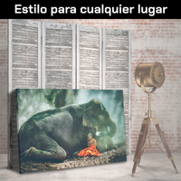 Niño Y Elefante Acostados