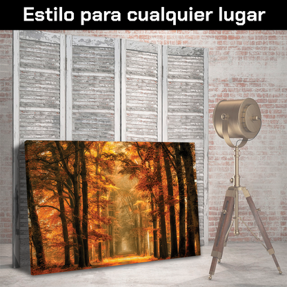 Bosque Sendero De Otoño
