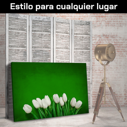 Tulipanes En Color Blanco