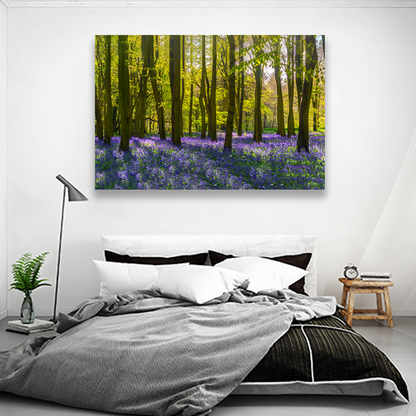 Árboles y Lavanda