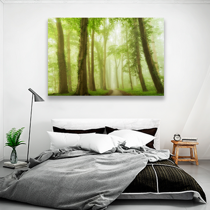 Bosque Bajo Niebla Verde
