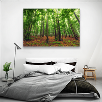 Bosque Bello