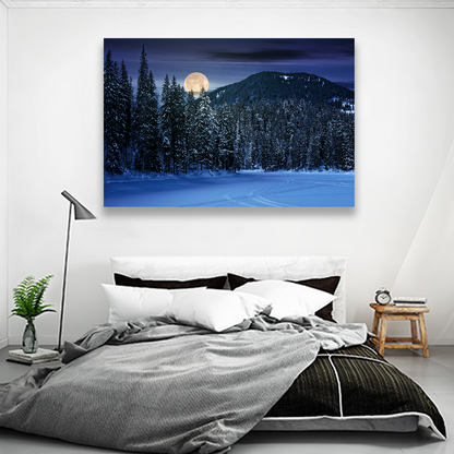 Bosque Noche Nieve Luna