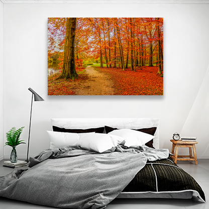 Bosque Y Hojas De Otoño