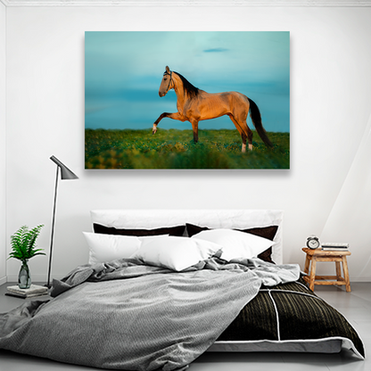 Caballo En La Pradera