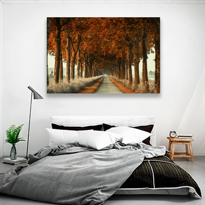 Camino De Otoño