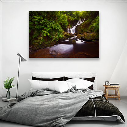 Cascada En Bosque
