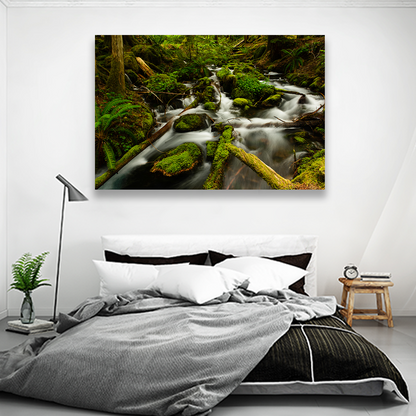 Cascada Rio Sobre Rocas