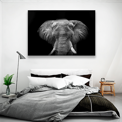 Elefante Con Colmillos