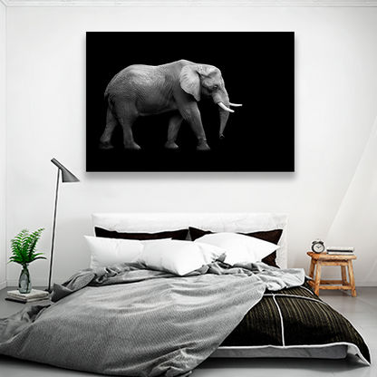 Elefante En Fondo Negro