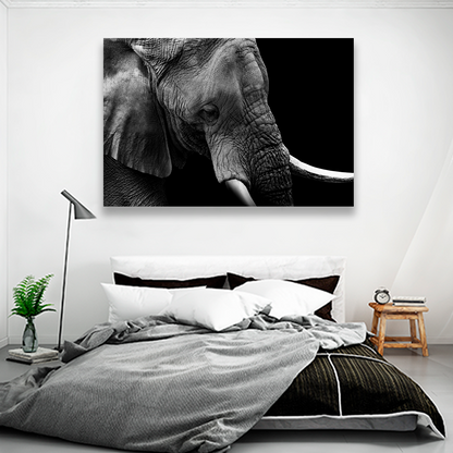 Elefante Retrato Perfil