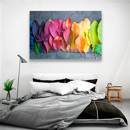 Hojas De Colores
