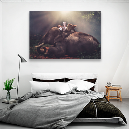 Niño Sobre Elefante