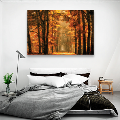 Bosque Sendero De Otoño