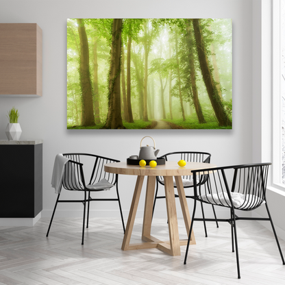 Bosque Bajo Niebla Verde