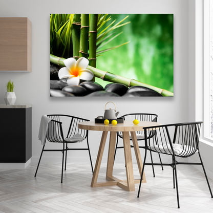 Bambu Y Flor Frangipani