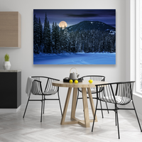 Bosque Noche Nieve Luna