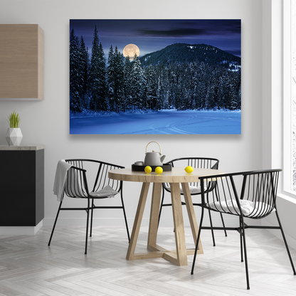 Bosque Noche Nieve Luna