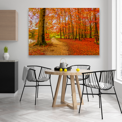Bosque Y Hojas De Otoño