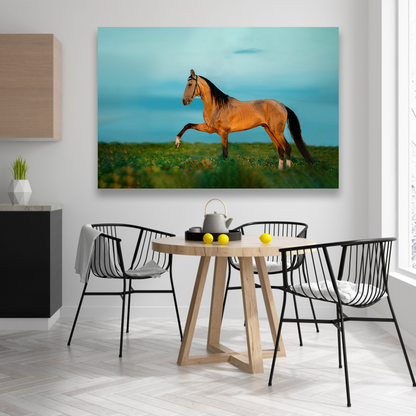 Caballo En La Pradera