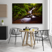 Cascada En Bosque
