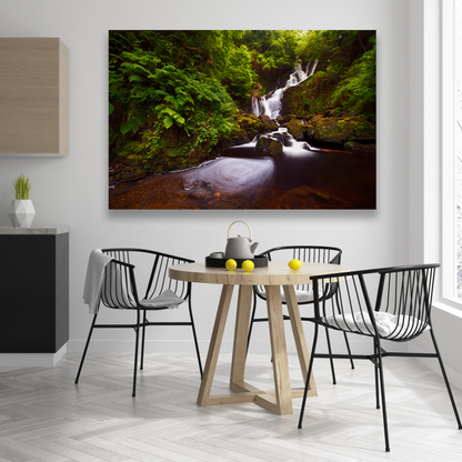 Cascada En Bosque