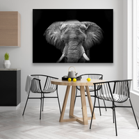Elefante Con Colmillos