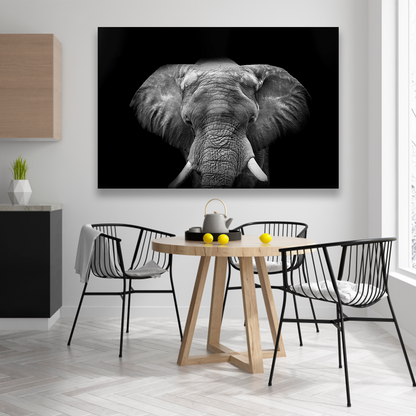 Elefante Con Colmillos