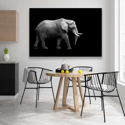 Elefante En Fondo Negro