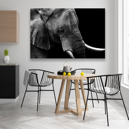 Elefante Retrato Perfil