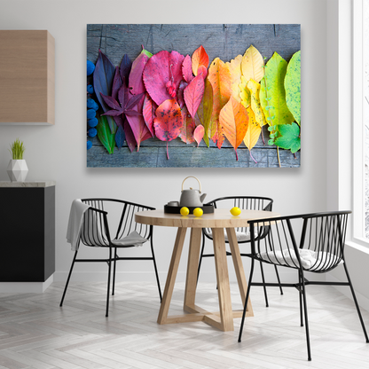 Hojas De Colores