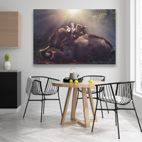 Niño Sobre Elefante