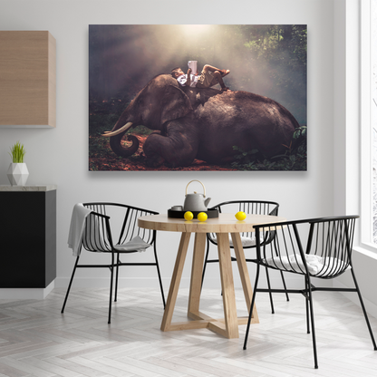 Niño Sobre Elefante