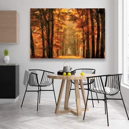Bosque Sendero De Otoño