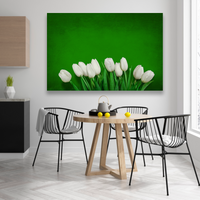 Tulipanes En Color Blanco