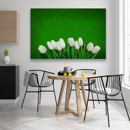 Tulipanes En Color Blanco