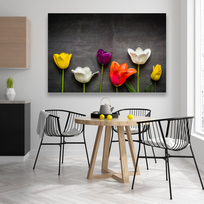 Tulipanes Negro