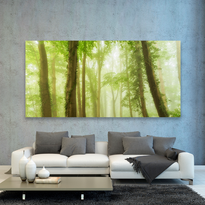 Bosque Bajo Niebla Verde