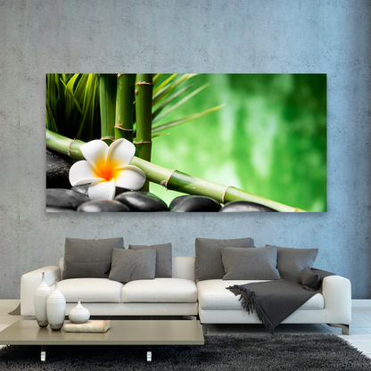 Bambu Y Flor Frangipani