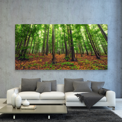 Bosque Bello