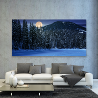 Bosque Noche Nieve Luna