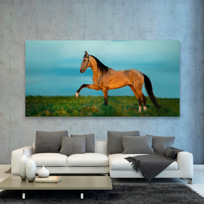 Caballo En La Pradera