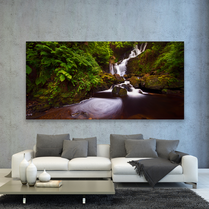 Cascada En Bosque