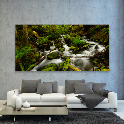Cascada Rio Sobre Rocas