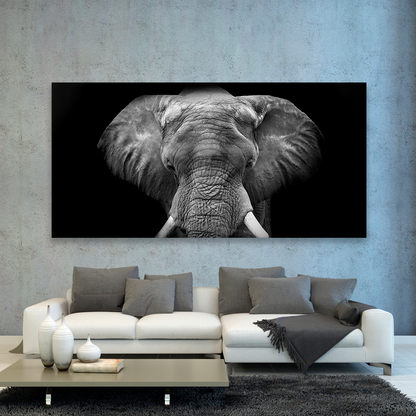 Elefante Con Colmillos