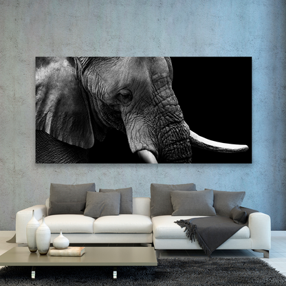 Elefante Retrato Perfil