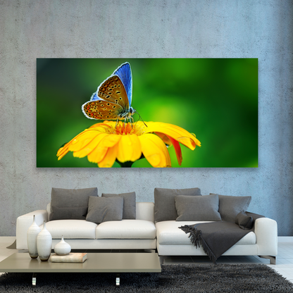 Flores Y Mariposa Azulada