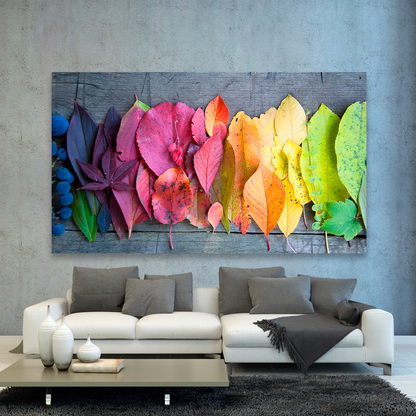 Hojas De Colores