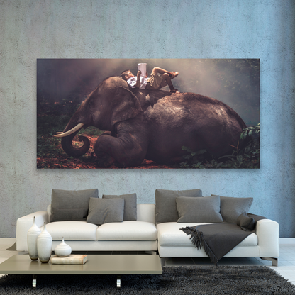 Niño Sobre Elefante